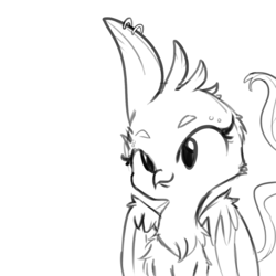 Size: 1280x1280 | Tagged: safe, artist:tjpones, griffon, chest fluff, feather piercing, fluffy, grayscale, monochrome, piercing, simple background, smiling, solo, wat, white background