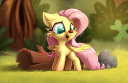 Size: 3333x2164 | Tagged: safe, artist:eto ya, fluttershy, ladybug, pegasus, pony, g4, cheek fluff, chest fluff, colored pupils, cute, ear fluff, explicit source, eyes on the prize, female, floppy ears, fluffy, forest, grass, high res, insect on nose, log, mare, open mouth, rock, shyabetes, small, smiling, solo, tree, weapons-grade cute, wing fluff