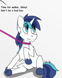 Size: 3359x4189 | Tagged: safe, artist:starrypallet, shining armor, pony, unicorn, g4, chest fluff, collar, flat colors, high res, horn, horn ring, leash, male, offscreen character, pet play, shiningabuse, simple background, solo, stallion, text, white background