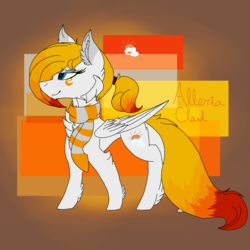 Size: 2560x2560 | Tagged: safe, artist:brokensilence, oc, oc only, oc:alleria cloud, pegasus, pony, chest fluff, clothes, eyeshadow, facial markings, female, fluffy, high res, long tail, makeup, mare, ponytail, reference sheet, scarf, solo