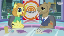 Size: 1275x718 | Tagged: safe, business savvy, honey curls, mare e. lynn, silver berry, viola (g4), pony, g4, official, the gift of the maud pie, al roker, cameo, manehattan, matt lauer, ponified, pony reference, savannah guthrie, today show