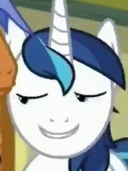 Size: 243x324 | Tagged: safe, screencap, shining armor, spearhead, pony, unicorn, a flurry of emotions, g4, cropped, cute, male, shining adorable, smiling, solo focus, stallion
