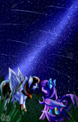 Size: 1021x1600 | Tagged: safe, artist:norrixcurral08, oc, oc only, pegasus, pony, duo, eyes closed, female, looking up, mare, night, night sky, smiling, starry night, stars
