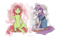 Size: 2796x1772 | Tagged: safe, artist:ratann, maud pie, tree hugger, earth pony, pony, g4, duo, female, floral head wreath, flower, lesbian, mare, maudhugger, shipping, simple background, white background