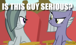 Size: 1002x594 | Tagged: safe, edit, edited screencap, screencap, limestone pie, marble pie, earth pony, pony, g4, rock solid friendship, discovery family logo, image macro, meme, question, raised eyebrow, reaction image