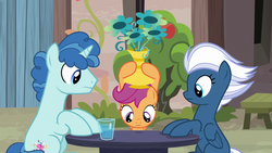 Size: 1280x720 | Tagged: safe, screencap, night glider, party favor, scootaloo, pegasus, pony, unicorn, g4, hard to say anything, female, filly, flower, foal, hooves on the table, male, mare, stallion, trio, vase