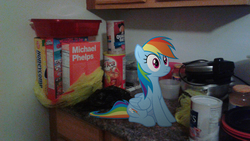 Size: 2560x1440 | Tagged: safe, artist:mlptmntfan2000, artist:mrlolcats17, rainbow dash, pony, g4, cereal, food, irl, kitchen, michael phelps, photo, ponies in real life, sitting, solo