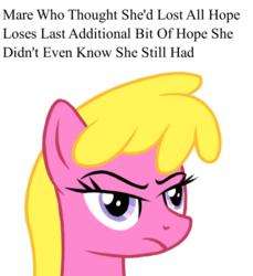 Size: 482x527 | Tagged: artist needed, safe, cherry berry, pony, g4, angry, drawthread, female, meme, ponified meme, reaction image, simple background, solo, the onion, white background
