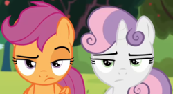 Size: 1408x764 | Tagged: safe, screencap, scootaloo, sweetie belle, pony, brotherhooves social, g4, raised eyebrow, unamused