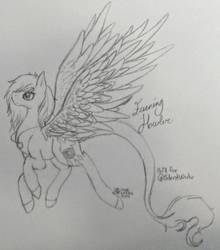 Size: 1268x1440 | Tagged: safe, artist:zipperdrawz, oc, oc only, oc:evening howler, pegasus, pony, flying, gift art, sketch, solo, traditional art