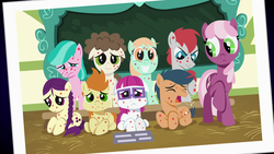 Size: 1920x1080 | Tagged: safe, screencap, aquamarine, boysenberry, cheerilee, first base, gallop j. fry, little red, peach fuzz, super funk, train tracks (g4), earth pony, pony, a flurry of emotions, g4, chalkboard, cough, female, filly, floppy ears, horsey hives, one of these things is not like the others, photo, ponyville schoolhouse, school, sick