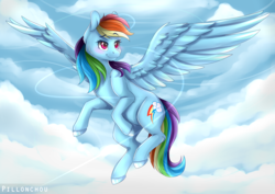 Size: 4092x2893 | Tagged: safe, artist:pillonchou, rainbow dash, pegasus, pony, g4, cloud, colored pupils, female, high res, mare, multicolored hair, sky, smiling, solo, spread wings, wings