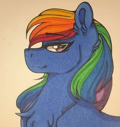 Size: 1210x1279 | Tagged: safe, artist:nightmare-moons-throneroom, rainbow dash, pony, g4, bust, female, grin, smiling, solo, traditional art