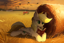 Size: 1280x856 | Tagged: dead source, safe, artist:hioshiru, oc, oc only, oc:dandelion blossom, bird, pegasus, pony, book, chromatic aberration, commission, cottagecore, cute, detailed background, explicit source, female, field, lying, mare, pegasus oc, prone, reading, scenery, solo, sunset, tractor, ych result