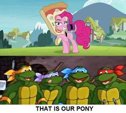 Size: 574x512 | Tagged: safe, pinkie pie, earth pony, pony, g4, rock solid friendship, donatello, leonardo, meme, michelangelo, pizza head, pizza pie, raphael, teenage mutant ninja turtles, that's my pony, that's my x