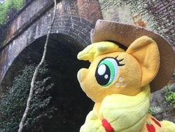 Size: 3264x2448 | Tagged: safe, artist:setorin5, applejack, earth pony, pony, g4, 4de, high res, irl, japan, photo, plushie, ponies around the world, ponies in real life, solo, travelling, tunnel