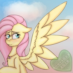 Size: 768x768 | Tagged: safe, artist:sonyager, fluttershy, pegasus, pony, g4, female, mare, solo, spread wings, wings