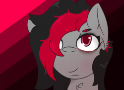 Size: 1300x942 | Tagged: safe, artist:lazerblues, oc, oc only, oc:miss eri, earth pony, pony, black and red mane, bust, portrait, solo, two toned mane
