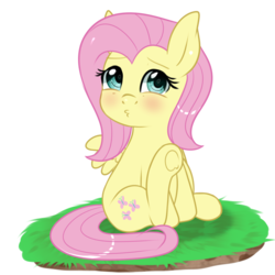 Size: 1000x1000 | Tagged: safe, artist:sugguk, fluttershy, pony, g4, blushing, cute, female, shyabetes, simple background, sitting, solo, transparent background