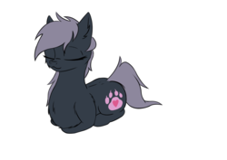Size: 1262x894 | Tagged: safe, artist:krynnymuffin, oc, oc only, oc:kat, pony, behaving like a cat, chest fluff, lying down, ponyloaf, simple background, sleeping, solo, white background