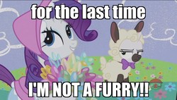 Size: 1920x1090 | Tagged: safe, edit, edited screencap, screencap, rarity, sweetie belle, lamb, pony, sheep, forever filly, g4, furry, image macro, lamb costume, meme, rari-bo peep, sheepie belle, sweetie belle is not amused