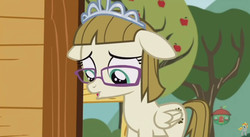 Size: 844x462 | Tagged: safe, screencap, zippoorwhill, pony, forever filly, g4, female, floppy ears, solo