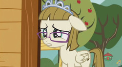 Size: 844x462 | Tagged: safe, screencap, zippoorwhill, pony, forever filly, g4, female, solo