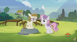Size: 848x465 | Tagged: safe, screencap, sweetie belle, zippoorwhill, pony, forever filly, g4