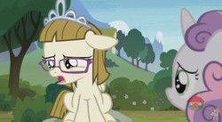 Size: 848x465 | Tagged: safe, screencap, sweetie belle, zippoorwhill, pony, forever filly, g4