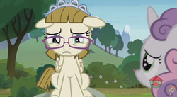 Size: 848x465 | Tagged: safe, screencap, sweetie belle, zippoorwhill, pony, forever filly, g4, floppy ears, sad