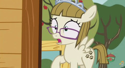 Size: 844x462 | Tagged: safe, screencap, zippoorwhill, pony, forever filly, g4, female, solo