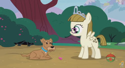 Size: 844x462 | Tagged: safe, screencap, ripley, zippoorwhill, dog, pony, forever filly, g4, dog toy