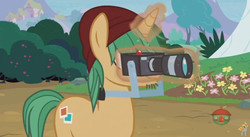 Size: 844x462 | Tagged: safe, screencap, snapshot, pony, forever filly, g4, my little pony: friendship is magic, camera, solo