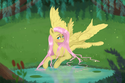 Size: 2449x1632 | Tagged: safe, artist:lovely-pony, fluttershy, pony, g4, blushing, female, forest, grass, lilypad, pond, prone, solo, spread wings, wings