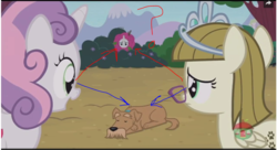 Size: 1009x548 | Tagged: safe, edit, edited screencap, screencap, rarity, ripley, sweetie belle, zippoorwhill, pony, forever filly, g4, arrow, bush, failed a spot check, question mark