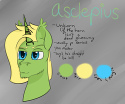 Size: 1500x1250 | Tagged: safe, oc, oc only, pony, unicorn, gradient background, male, reference sheet, solo, stallion