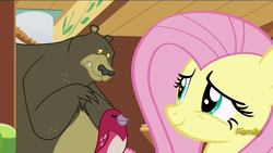 Size: 1920x1080 | Tagged: safe, screencap, fluttershy, harry, bear, bird, pegasus, pony, songbird, fluttershy leans in, g4, animal, cute, discovery family logo, female, male, mare, shyabetes, trio