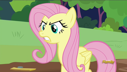 Size: 1920x1080 | Tagged: safe, screencap, fluttershy, pony, fluttershy leans in, g4, angry, discovery family logo, female, folded wings, mare, solo, wings