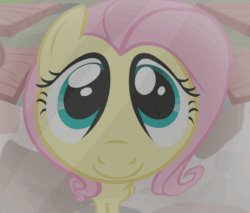Size: 596x508 | Tagged: safe, screencap, fluttershy, pegasus, pony, fluttershy leans in, g4, season 7, animated, blinking, c:, cute, female, fisheye lens, frown, gif, looking at you, loop, mare, reflection, shyabetes, smiling, solo