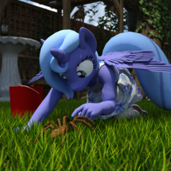 Size: 1500x1500 | Tagged: safe, artist:tahublade7, princess luna, alicorn, spider, anthro, plantigrade anthro, g4, 3d, bucket, clothes, daz studio, dress, female, filly, grass, solo, woona, younger