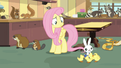 Size: 634x356 | Tagged: safe, screencap, angel bunny, fluttershy, smoky, smoky jr., softpad, beaver, duck, ferret, pegasus, pony, raccoon, snake, squirrel, fluttershy leans in, g4, animated, cast, crutches, duckling, faceplant, female, gif, mare, tripping
