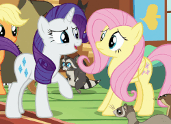 Size: 698x504 | Tagged: safe, screencap, applejack, fluttershy, harry, rarity, smoky jr., earth pony, mouse, pegasus, pony, raccoon, unicorn, fluttershy leans in, g4, animated, female, gif, loop, pawing, rarara