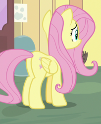 Size: 511x625 | Tagged: safe, screencap, fluttershy, pegasus, pony, fluttershy leans in, g4, butt, cropped, female, folded wings, mare, plot, smiling, solo, wings