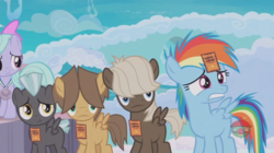 Size: 1236x692 | Tagged: safe, screencap, dumbbell, flitter, hoops, rainbow dash, thunderlane, pony, g4, parental glideance, colt, colt dumbbell, colt hoops, colt thunderlane, female, filly, filly flitter, filly rainbow dash, foal, male, participation ribbon, younger