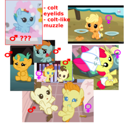 Size: 1200x1200 | Tagged: safe, edit, screencap, apple bloom, applejack, pound cake, pumpkin cake, rainbow dash, snails, snips, earth pony, pony, apple family reunion, baby cakes, g4, magic duel, parental glideance, ponyville confidential, baby, baby apple bloom, baby dash, baby pony, babyjack, colt, female, filly, foal, hub logo, implications, male, mare, the hub, theory, trans female, trans rainbow dash, transgender, viewer gender confusion