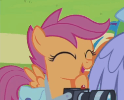 Size: 424x343 | Tagged: safe, screencap, bow hothoof, scootaloo, pegasus, pony, g4, parental glideance, animated, camera, cute, cutealoo, female, filly, foal, gif, laughing, male, offscreen character, saddle bag, stallion