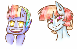 Size: 662x423 | Tagged: safe, artist:moonlightprincess002, bow hothoof, windy whistles, pony, g4, bust, portrait, rainbow dash's parents, ship:windyhoof