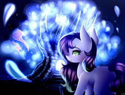 Size: 3300x2527 | Tagged: safe, artist:bambudess, oc, oc only, earth pony, pony, commission, female, high res, mare, solo