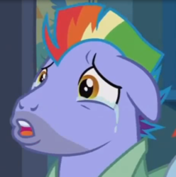 Size: 634x640 | Tagged: safe, screencap, bow hothoof, pegasus, pony, g4, parental glideance, crying, male, solo, stallion, tears of joy