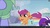 Size: 1600x900 | Tagged: safe, screencap, bow hothoof, scootaloo, pegasus, pony, g4, parental glideance, cutie mark, female, filly, helmet, male, saddle bag, stallion, the cmc's cutie marks